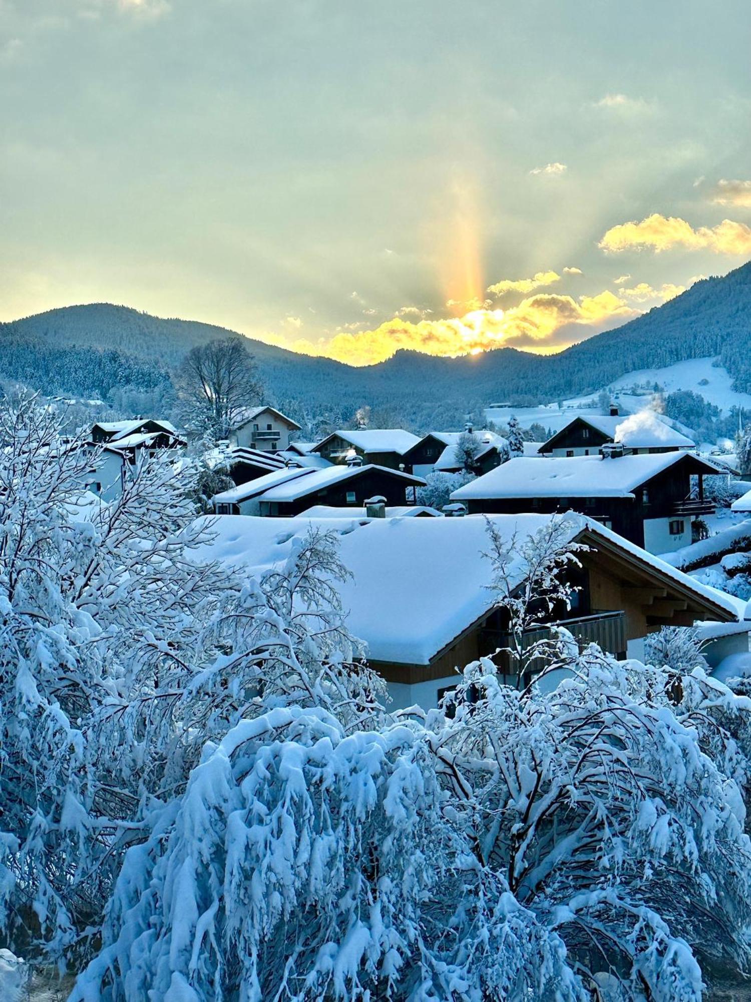 Alpenoase Schliersee - Grosse Suite Mit Sauna Oder Gemuetliche Studio Appartements Dış mekan fotoğraf